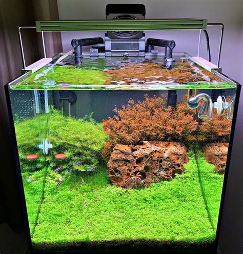 Types of Fish Tanks- Which One is the Best for You - Bunnycart Blog