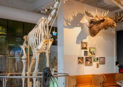 Naturhistoriska riksmuseet - View Stockholm