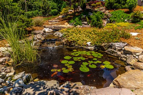 Water Gardens | Kiefer Landscaping