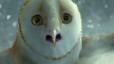 kašel Pást se Exert legend of the guardians the owls of ga hoole soundtrack prodejní plán ...