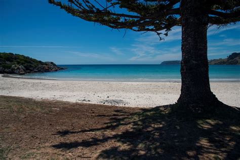 Boat Harbour Beach, la perla della Tasmania - Australia in Campervan