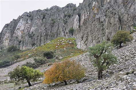 The different type of landscape in Extremadura Extremadura-spain.co.uk