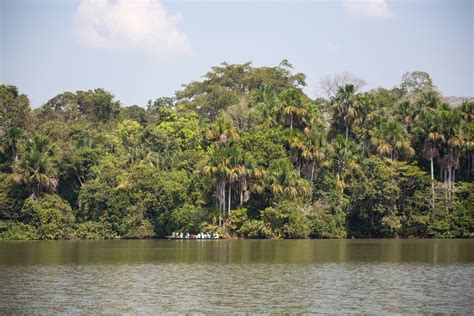 Tambopata Amazon Adventure - 3 Days | kimkim