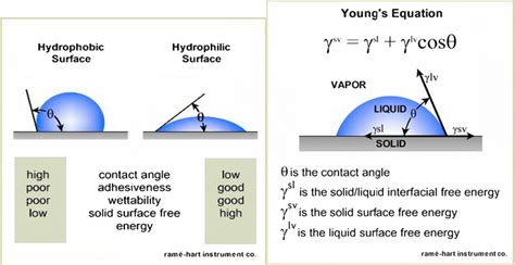 a Contact angle of hydrophobic and hydrophilic surfaces b Young’s ...