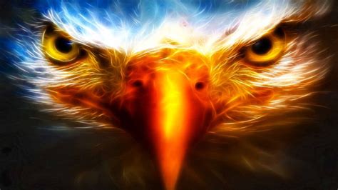 Majestic Eagle HD Wallpaper: Nature's Fierce Beauty