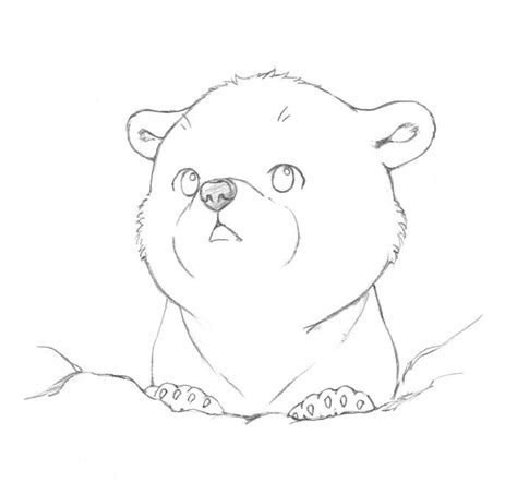 The Last of the Polar Bears - sketch | Bear sketch, Animal drawings ...