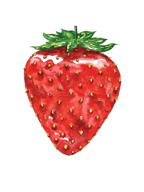 Large Juicy Strawberry Illustration in Watercolor Art Print | Etsy