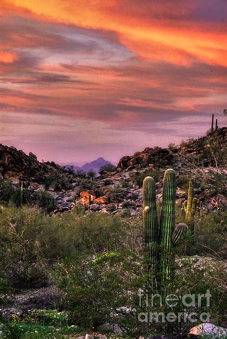 South Mountain Park @ sunset - Phoenix, AZ | Sunset photos, Desert sunset, Scenic