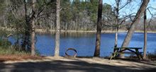 Little Pee Dee State Park - Campsite Photos, Camp Info & Reservations