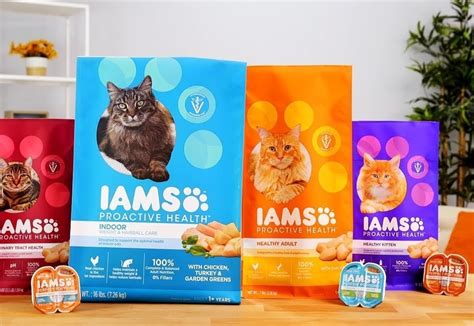 12 Best Cat Food Brands: Keep Health of Your Cats and Kittens - Cherry Picks