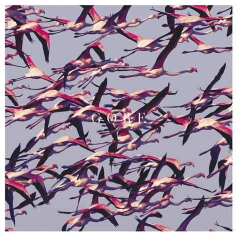 Deftones - Gore | Vinyl Cover Art