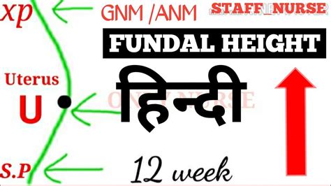 Fundal Height Measuring Small