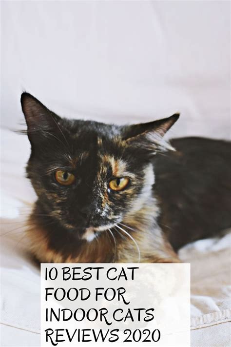 10 Best Cat Food for Indoor Cats Reviews 2020 | Best cat food, Cool ...