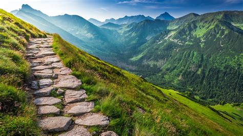 Footpath in the Tatras Mountains at sunrise, Zakopane, Poland | Windows Spotlight Images