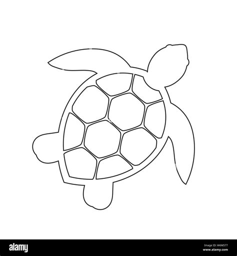 Sea turtle line icon. Vector illustration Stock Vector Image & Art - Alamy