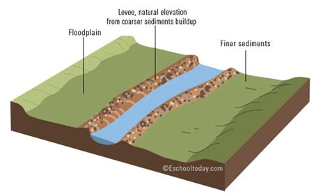 Floodplain Diagram