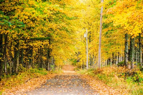 The Ultimate Maine Fall Foliage Tour – Autumn in Maine