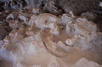 Ashfall Fossil Beds State Park, Nebraska: Home of the Largest Intact ...