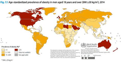 kmhouseindia: The World's Fattest Countries - Global Status Report released by the World Health ...