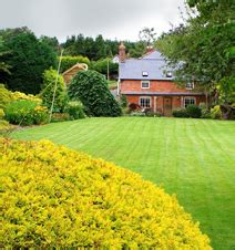 Dingle Nursery & Garden - Bare roooted hedging, forestry, plants and ...