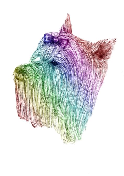 "Yorkshire Terrier - Colour" by ElleCS | Redbubble