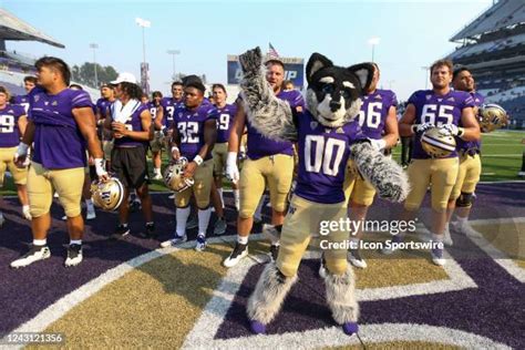 Huskies Mascot Photos and Premium High Res Pictures - Getty Images