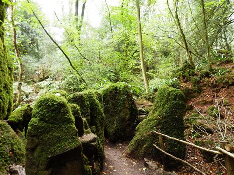 Puzzlewood, Forest of Dean, Gloucestershire | Puzzlewood is … | Flickr