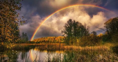 Swamp Rainbow Magic - HD Wallpaper