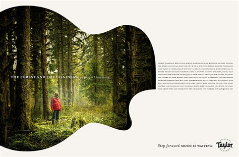 Taylor Guitars Campaign on Behance