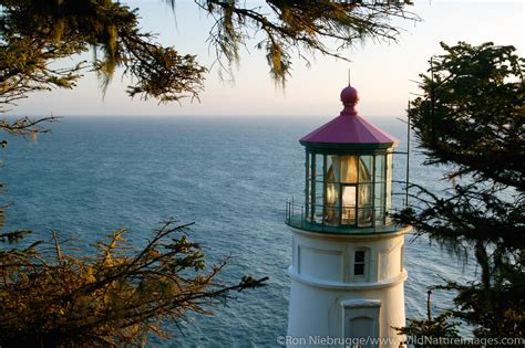 Heceta Head Lighthouse | Oregon Coast | Photos by Ron Niebrugge