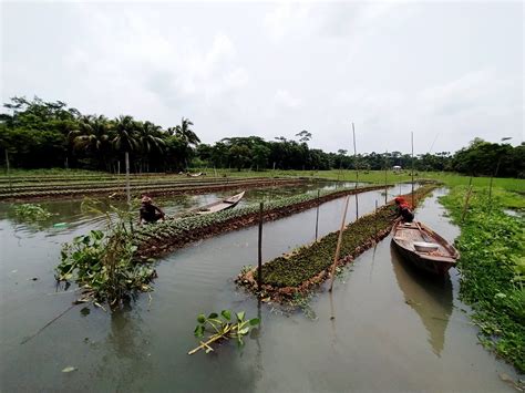 Floating farms and food security