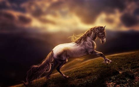 Running horse, wildlife, blur, art, dom, horse, HD wallpaper | Peakpx