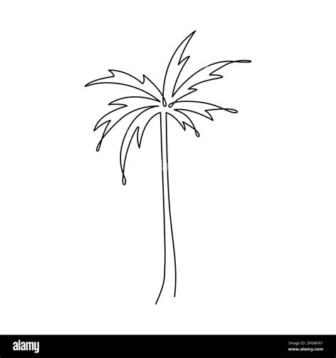 PALM TREE LINE ART. Vector palm. Tropical palm tree Continuous Linear ...