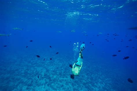 Diving in Manihi - Tahiti Tourisme