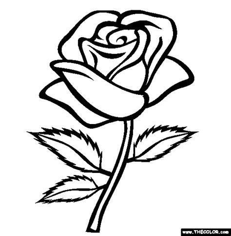 Rose Coloring Page | Free Rose Online Coloring