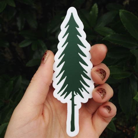 Large Pine Tree Sticker, Hiking , Bottle sticker,Outdoorsy sticker, Adventure, Gift for Hiker ...