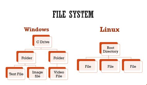 Linux File System😉 - DEV Community 👩‍💻👨‍💻