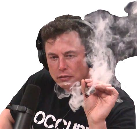 Elon Musk PNG transparent image download, size: 1081x1015px