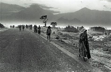 The “disappeared” of Congo-Zaire, 1996-1997. The question of the massacres of Rwandan Hutu ...