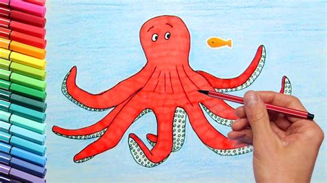 Colour Octopus Drawing Realistic