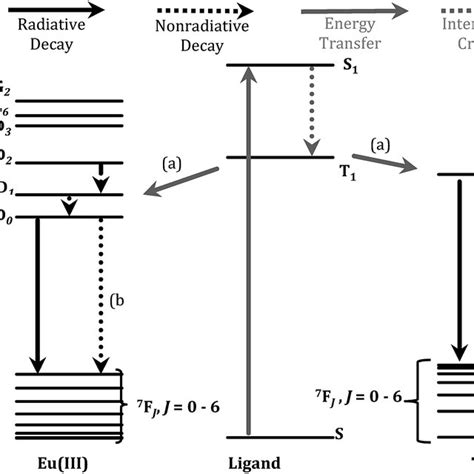 Jablonski diagram representing the major energy transfer pathways of ...