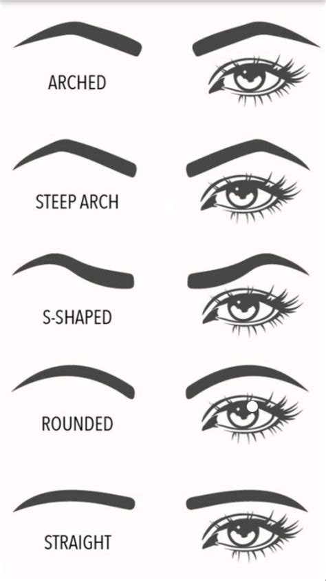 Eyebrow visual guide. Choose which eyebrow shape suits you. | Eyebrow ...