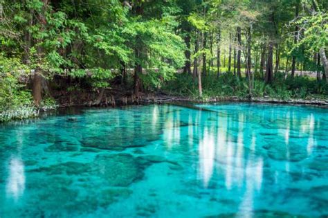 Ginnie Springs: Everything You Need To Know To Plan Your Visit - The Family Vacation Guide