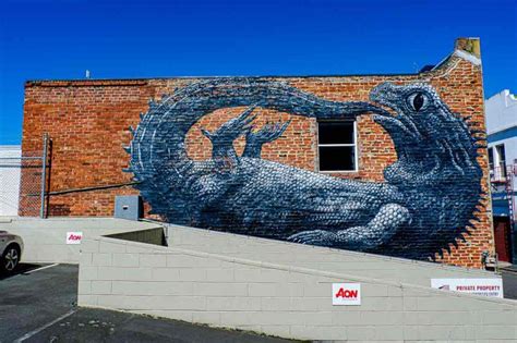 Dunedin Street Art Trail - Funstacker