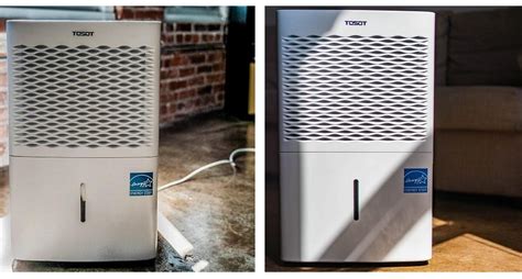 6 Reliable Whole House Dehumidifiers — Take better care of Your Home | WowRoo