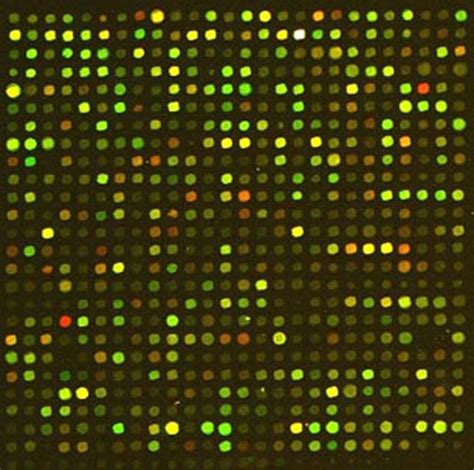 Luca blog: dna microarray