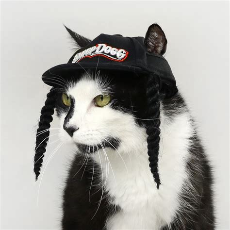 Snoop Dogg Launches Pet Clothes and Accessories Line