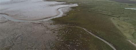 Coastal Wetlands | Lincoln Climate Research Group | University of Lincoln