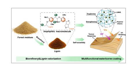 Valorization of Lignin from Biorefinery: Colloidal Lignin Micro-Nanospheres as Multifunctional ...