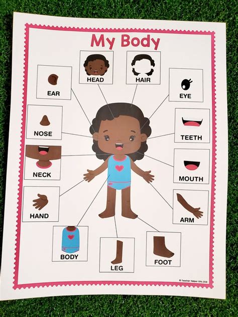 Human Body Parts Poster For Kids